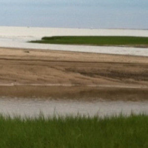 Meet your Posher, Rhonda